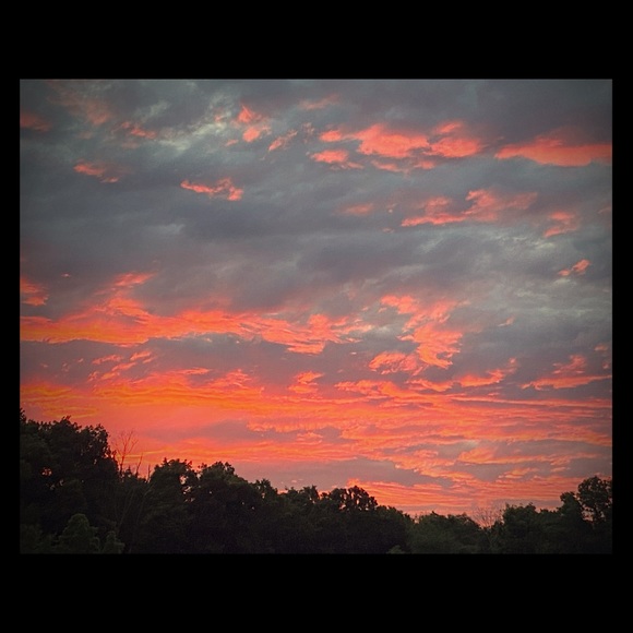 Meet your Posher, Danielle - Picture 1 of 1